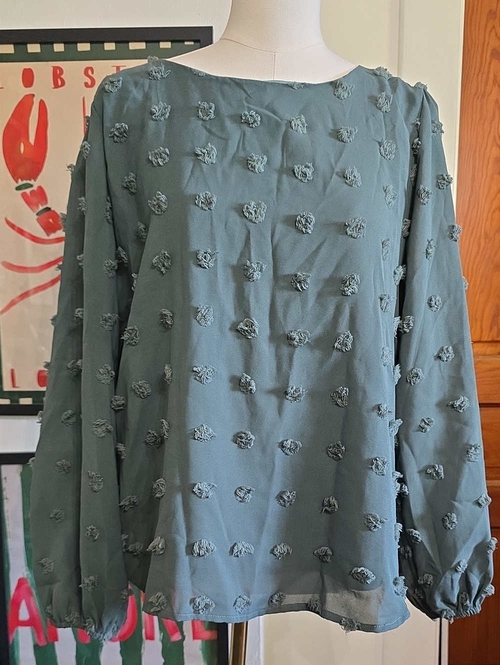 Textured Dot Long-Sleeve Blouse in Sage Green Naomi Nwt Beacon Apparel